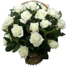Средняя корзина из 21 белой розы, на оазисе. Оформлена зеленью