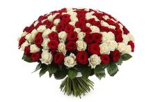 № 453  Букет из 201 красно-белых роз.
