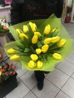 d9113876-acfb-49a5-8667-e6c85154bc0b