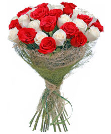 №132 Букет из 33 шт. Красные и белые розы. 60 - 70 см.