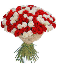 №133 Букет из 101 красная и белая роза